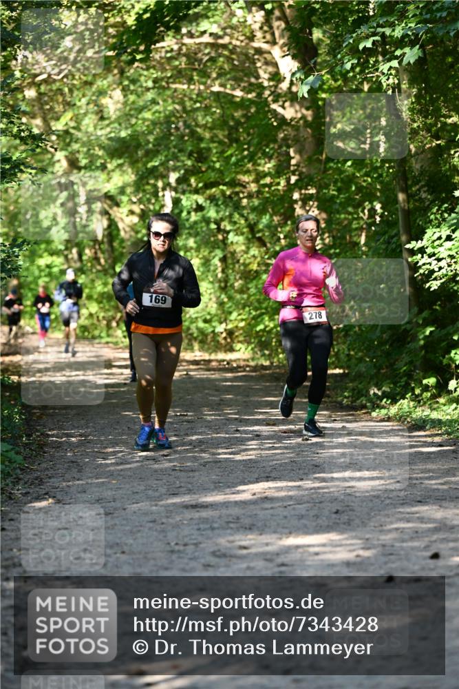 06.10.2024 - Bramfelder Halbmarathon 2024 Dr. Thomas Lammeyer http://msf.ph/oto/7343428 06.10.2024 10:56:27 Laufen 169, 278 meine-sportfotos.de