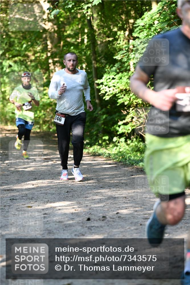 06.10.2024 - Bramfelder Halbmarathon 2024 Dr. Thomas Lammeyer http://msf.ph/oto/7343575 06.10.2024 10:57:29 Laufen 250, 246, 8 meine-sportfotos.de