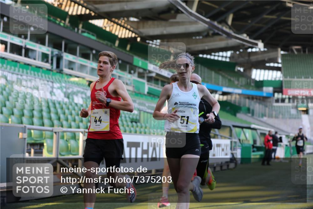 06.10.2024 - 19. swb-Marathon Bremen Yannick Fuchs http://msf.ph/oto/7375203 06.10.2024 10:16:44 Laufen im Stadion 44, 51, 7498, 8080, 8211, 8559, 8600 meine-sportfotos.de