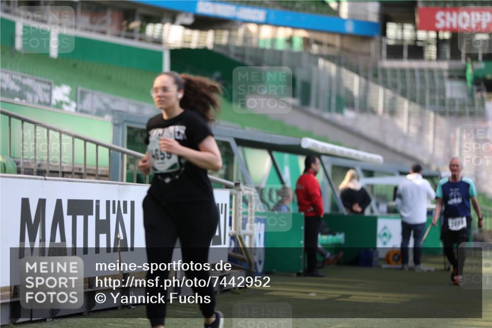 06.10.2024 - 19. swb-Marathon Bremen Yannick Fuchs http://msf.ph/oto/7442952 06.10.2024 14:01:31 Laufen im Stadion 295, 988, 1169, 1582, 2899, 3689, 4575, 4659, 4971, 5988 meine-sportfotos.de