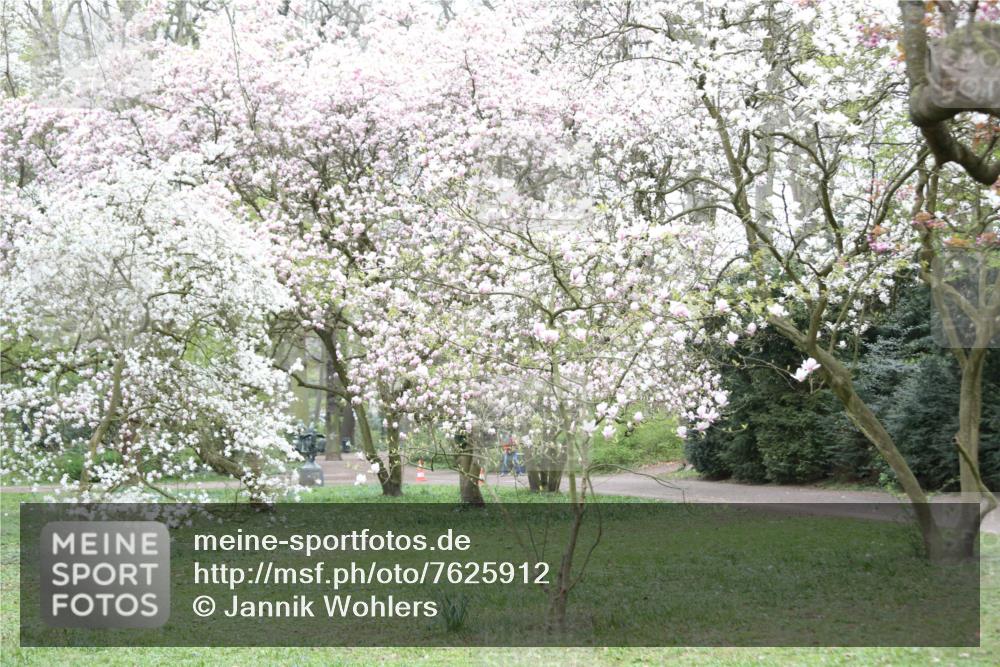 13.04.2025 - Hammer Lauf Jannik Wohlers http://msf.ph/oto/7625912 13.04.2025 08:41:28 Laufen  meine-sportfotos.de