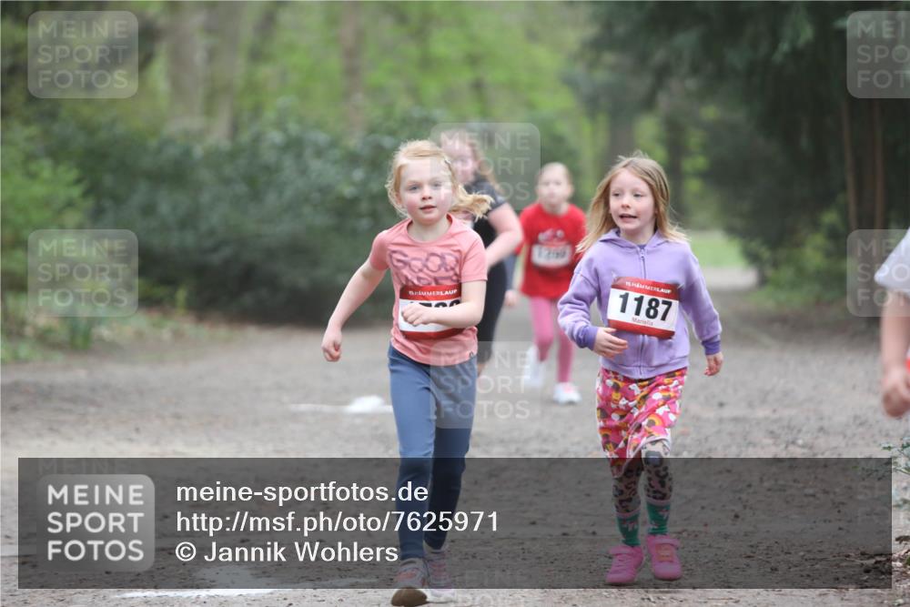 13.04.2025 - Hammer Lauf Jannik Wohlers http://msf.ph/oto/7625971 13.04.2025 08:23:36 Laufen 15, 1269, 15, 1187 meine-sportfotos.de