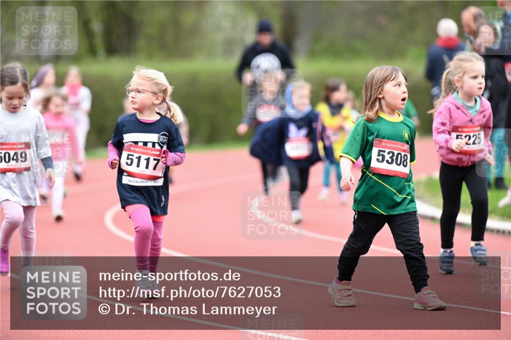 13.04.2025 - Hammer Lauf Dr. Thomas Lammeyer http://msf.ph/oto/7627053 13.04.2025 09:02:16 Laufen 5049, 15, 5117, 15, 5308, 5225 meine-sportfotos.de