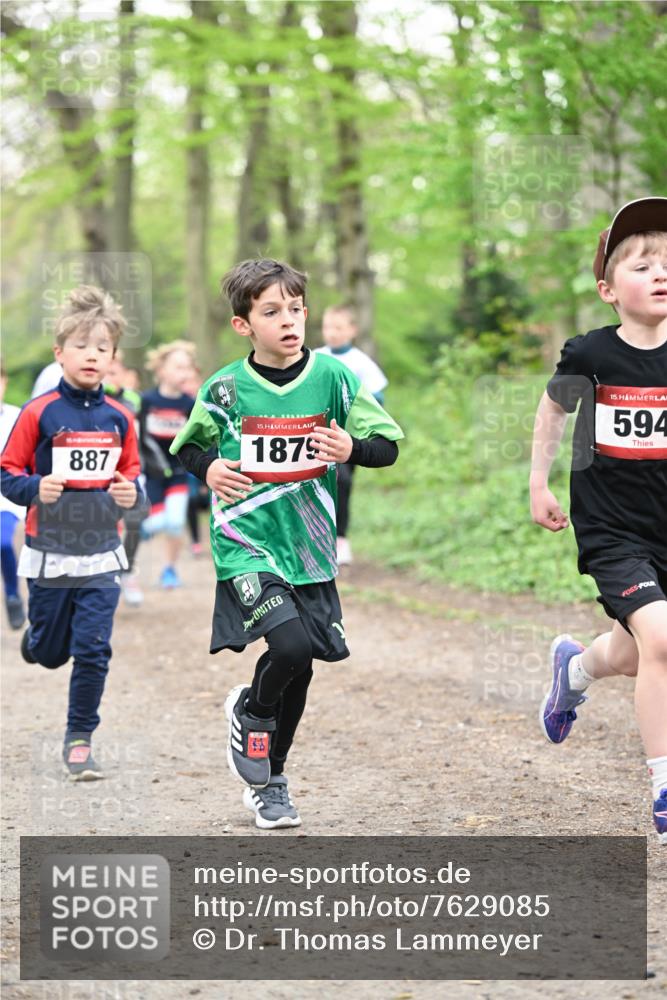 13.04.2025 - Hammer Lauf Dr. Thomas Lammeyer http://msf.ph/oto/7629085 13.04.2025 09:23:00 Laufen 887, 15, 1875, 15, 594 meine-sportfotos.de