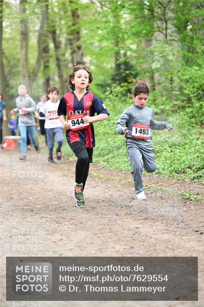 13.04.2025 - Hammer Lauf Dr. Thomas Lammeyer http://msf.ph/oto/7629554 13.04.2025 09:23:29 Laufen 171, 15, 944, 15, 1493 meine-sportfotos.de
