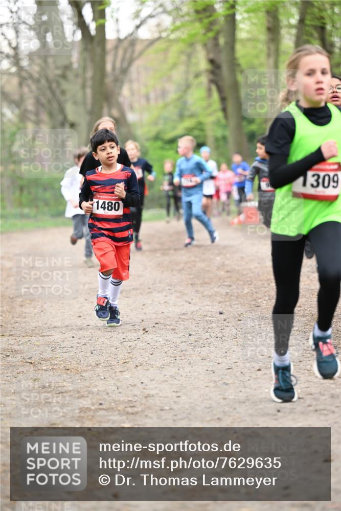 13.04.2025 - Hammer Lauf Dr. Thomas Lammeyer http://msf.ph/oto/7629635 13.04.2025 09:23:32 Laufen 1480, 1309 meine-sportfotos.de