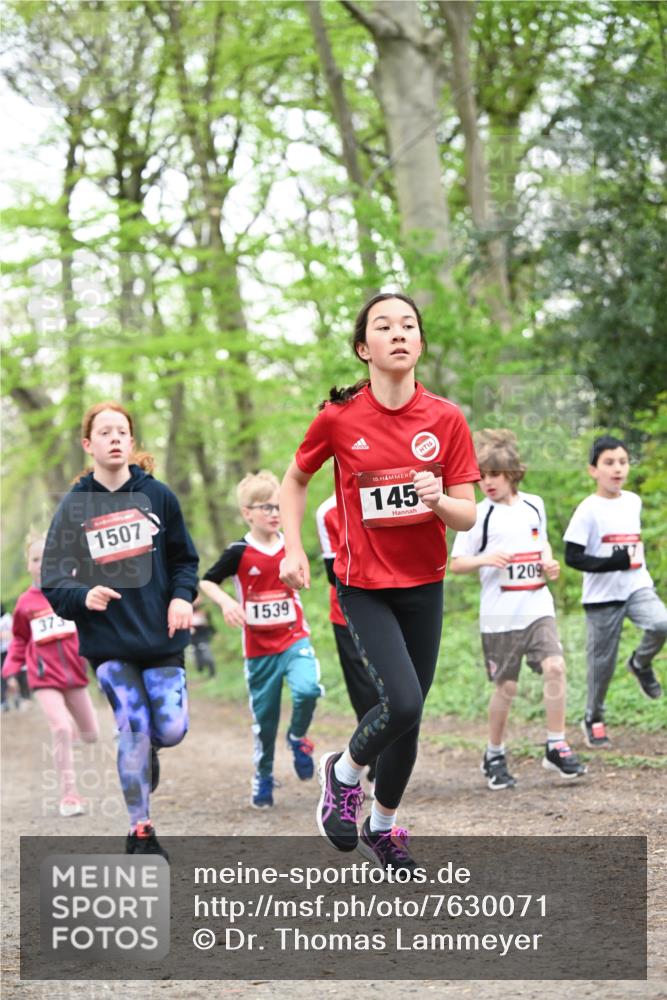 13.04.2025 - Hammer Lauf Dr. Thomas Lammeyer http://msf.ph/oto/7630071 13.04.2025 09:23:53 Laufen 373, 1507, 1539, 15, 145, 16, 1209 meine-sportfotos.de