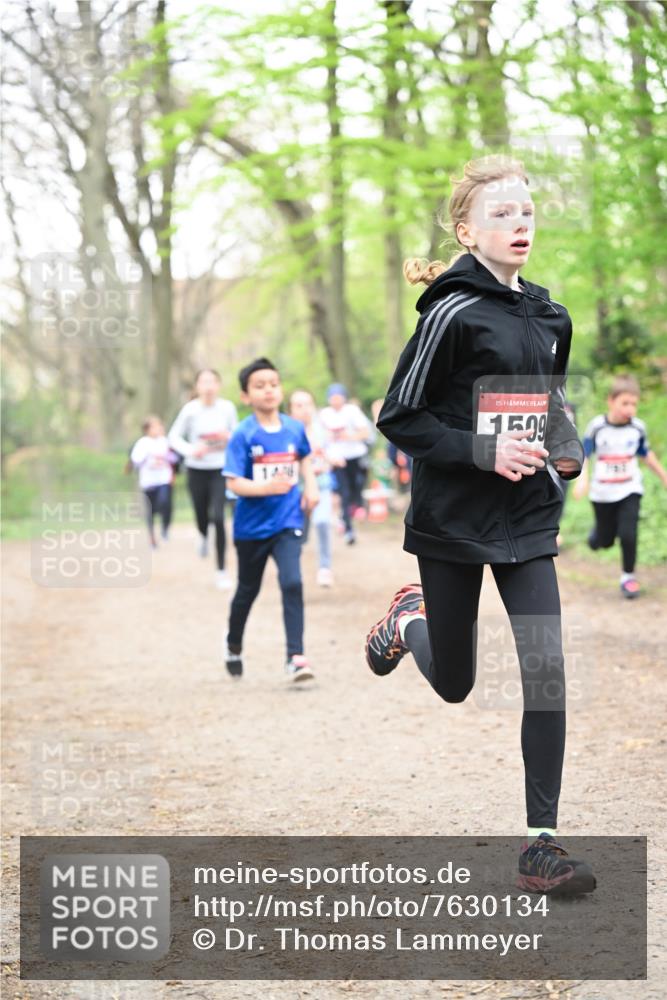 13.04.2025 - Hammer Lauf Dr. Thomas Lammeyer http://msf.ph/oto/7630134 13.04.2025 09:23:56 Laufen 146, 15, 1509, 763 meine-sportfotos.de