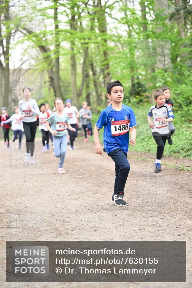 13.04.2025 - Hammer Lauf Dr. Thomas Lammeyer http://msf.ph/oto/7630155 13.04.2025 09:23:56 Laufen 913, 15, 1486, 795 meine-sportfotos.de