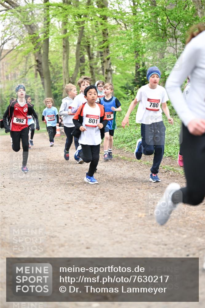 13.04.2025 - Hammer Lauf Dr. Thomas Lammeyer http://msf.ph/oto/7630217 13.04.2025 09:23:59 Laufen 992, 1623, 801, 85, 780 meine-sportfotos.de