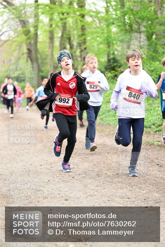 13.04.2025 - Hammer Lauf Dr. Thomas Lammeyer http://msf.ph/oto/7630262 13.04.2025 09:24:00 Laufen 992, 16, 825, 15, 840 meine-sportfotos.de