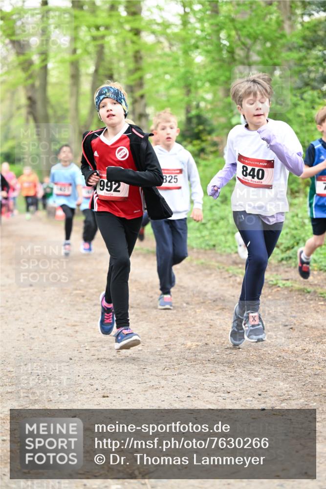 13.04.2025 - Hammer Lauf Dr. Thomas Lammeyer http://msf.ph/oto/7630266 13.04.2025 09:24:00 Laufen 16, 992, 825, 15, 840 meine-sportfotos.de