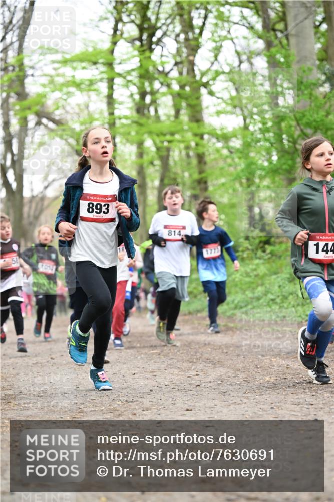 13.04.2025 - Hammer Lauf Dr. Thomas Lammeyer http://msf.ph/oto/7630691 13.04.2025 09:24:19 Laufen 1053, 15, 893, 814, 15, 144 meine-sportfotos.de