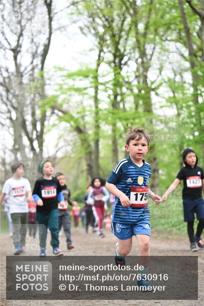 13.04.2025 - Hammer Lauf Dr. Thomas Lammeyer http://msf.ph/oto/7630916 13.04.2025 09:24:27 Laufen 1914, 2018, 15, 175, 1427 meine-sportfotos.de