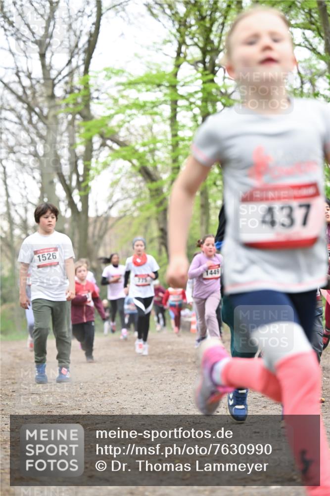 13.04.2025 - Hammer Lauf Dr. Thomas Lammeyer http://msf.ph/oto/7630990 13.04.2025 09:24:29 Laufen 1526, 1449, 437 meine-sportfotos.de