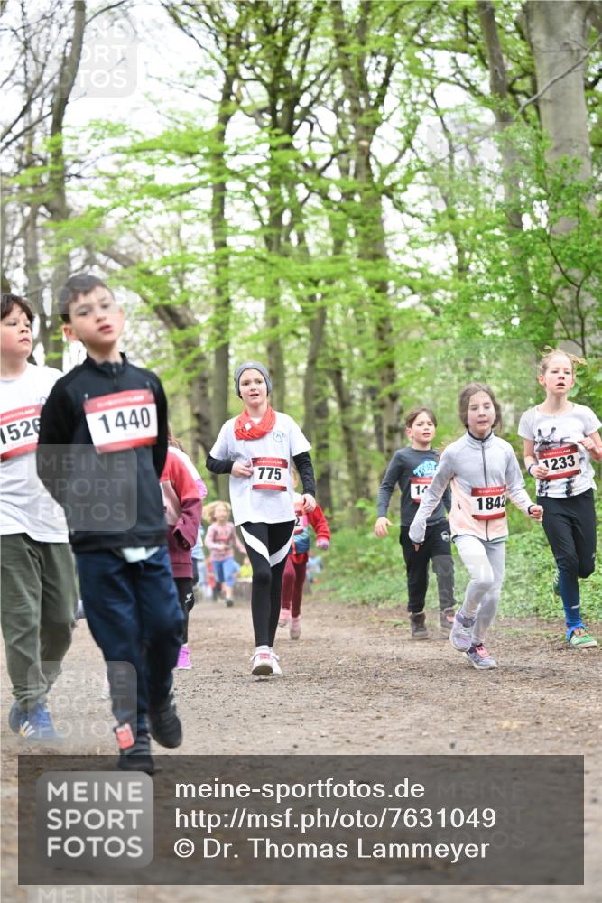 13.04.2025 - Hammer Lauf Dr. Thomas Lammeyer http://msf.ph/oto/7631049 13.04.2025 09:24:31 Laufen 1526, 1440, 775, 1233, 14, 1842 meine-sportfotos.de