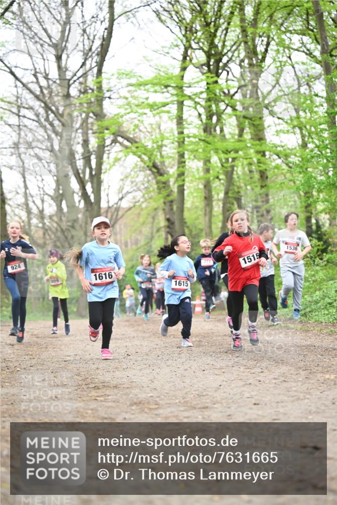 13.04.2025 - Hammer Lauf Dr. Thomas Lammeyer http://msf.ph/oto/7631665 13.04.2025 09:24:55 Laufen 924, 989, 1616, 1615, 777, 1515, 1536 meine-sportfotos.de