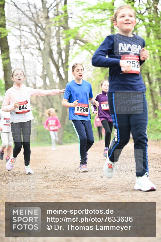 13.04.2025 - Hammer Lauf Dr. Thomas Lammeyer http://msf.ph/oto/7633636 13.04.2025 09:25:44 Laufen 95, 842, 15, 1266, 135, 252 meine-sportfotos.de