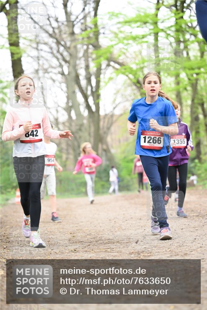 13.04.2025 - Hammer Lauf Dr. Thomas Lammeyer http://msf.ph/oto/7633650 13.04.2025 09:25:44 Laufen 642, 954, 15, 1266, 1355 meine-sportfotos.de