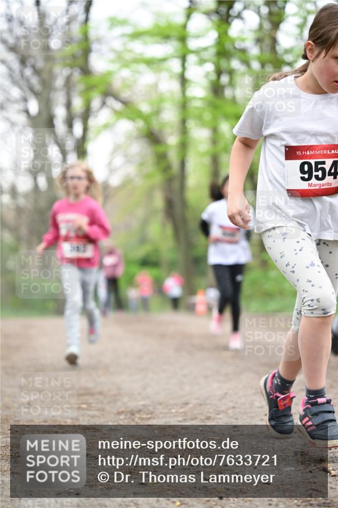 13.04.2025 - Hammer Lauf Dr. Thomas Lammeyer http://msf.ph/oto/7633721 13.04.2025 09:25:47 Laufen 15, 954 meine-sportfotos.de