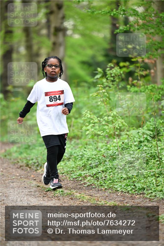 13.04.2025 - Hammer Lauf Dr. Thomas Lammeyer http://msf.ph/oto/7634272 13.04.2025 09:26:11 Laufen 15, 894 meine-sportfotos.de
