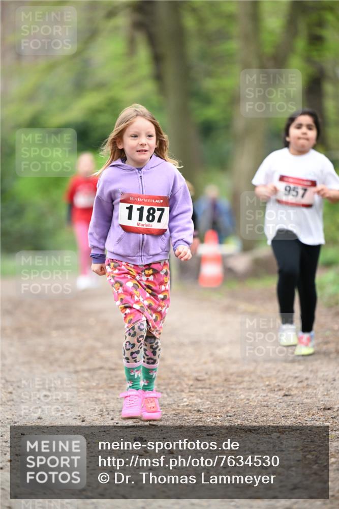 13.04.2025 - Hammer Lauf Dr. Thomas Lammeyer http://msf.ph/oto/7634530 13.04.2025 09:26:33 Laufen 15, 1187, 188777, 957 meine-sportfotos.de