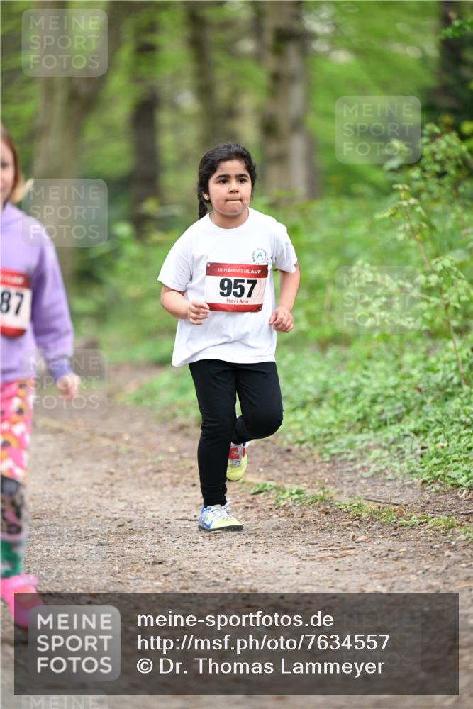 13.04.2025 - Hammer Lauf Dr. Thomas Lammeyer http://msf.ph/oto/7634557 13.04.2025 09:26:34 Laufen 87, 15, 957 meine-sportfotos.de