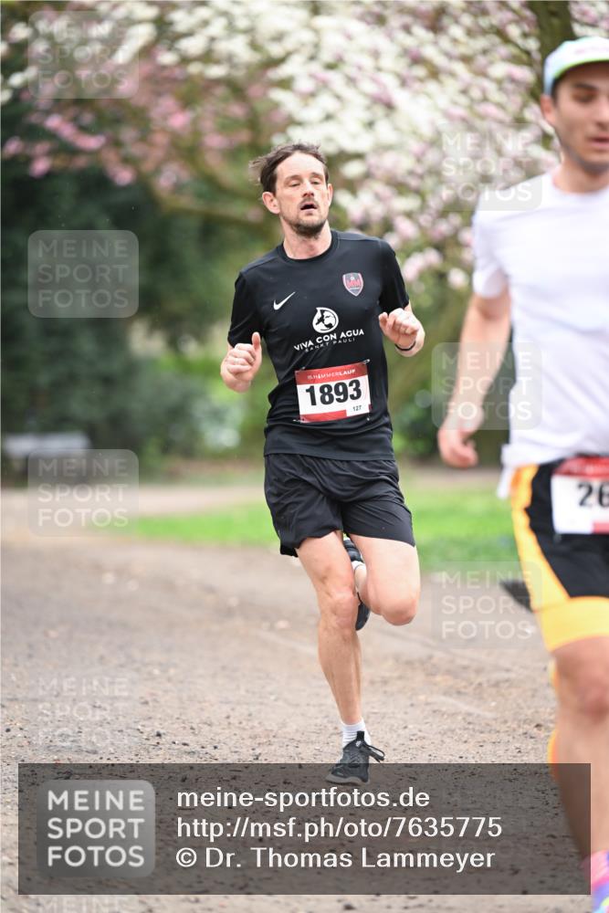 13.04.2025 - Hammer Lauf Dr. Thomas Lammeyer http://msf.ph/oto/7635775 13.04.2025 10:05:00 Laufen 15, 1893, 127, 26 meine-sportfotos.de