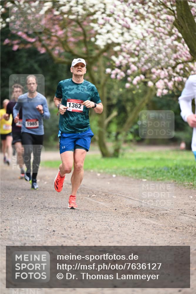 13.04.2025 - Hammer Lauf Dr. Thomas Lammeyer http://msf.ph/oto/7636127 13.04.2025 10:05:34 Laufen 1985, 15, 1362, 118 meine-sportfotos.de