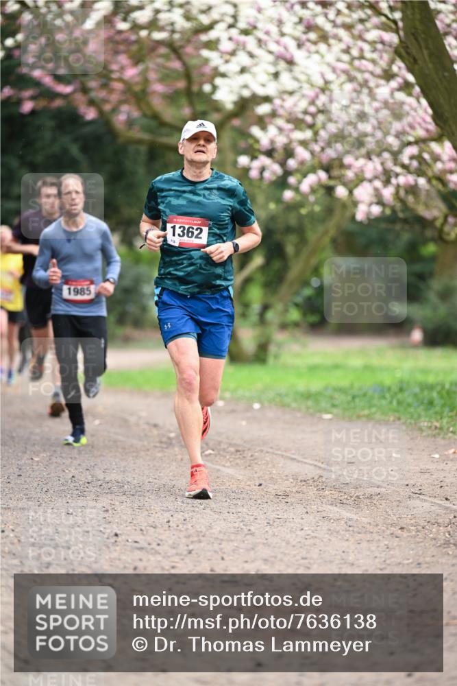 13.04.2025 - Hammer Lauf Dr. Thomas Lammeyer http://msf.ph/oto/7636138 13.04.2025 10:05:35 Laufen 1985, 15, 1362 meine-sportfotos.de