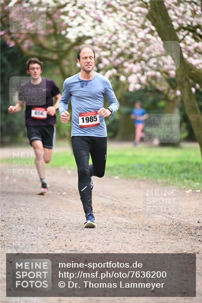 13.04.2025 - Hammer Lauf Dr. Thomas Lammeyer http://msf.ph/oto/7636200 13.04.2025 10:05:36 Laufen 656, 15, 1985 meine-sportfotos.de