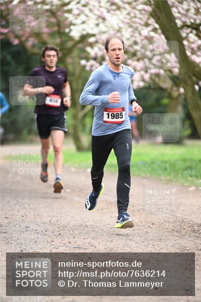 13.04.2025 - Hammer Lauf Dr. Thomas Lammeyer http://msf.ph/oto/7636214 13.04.2025 10:05:37 Laufen 654, 15, 1985 meine-sportfotos.de