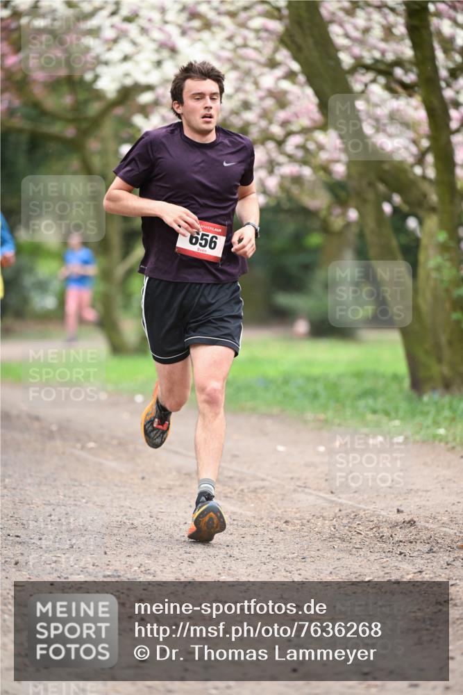 13.04.2025 - Hammer Lauf Dr. Thomas Lammeyer http://msf.ph/oto/7636268 13.04.2025 10:05:38 Laufen 656 meine-sportfotos.de