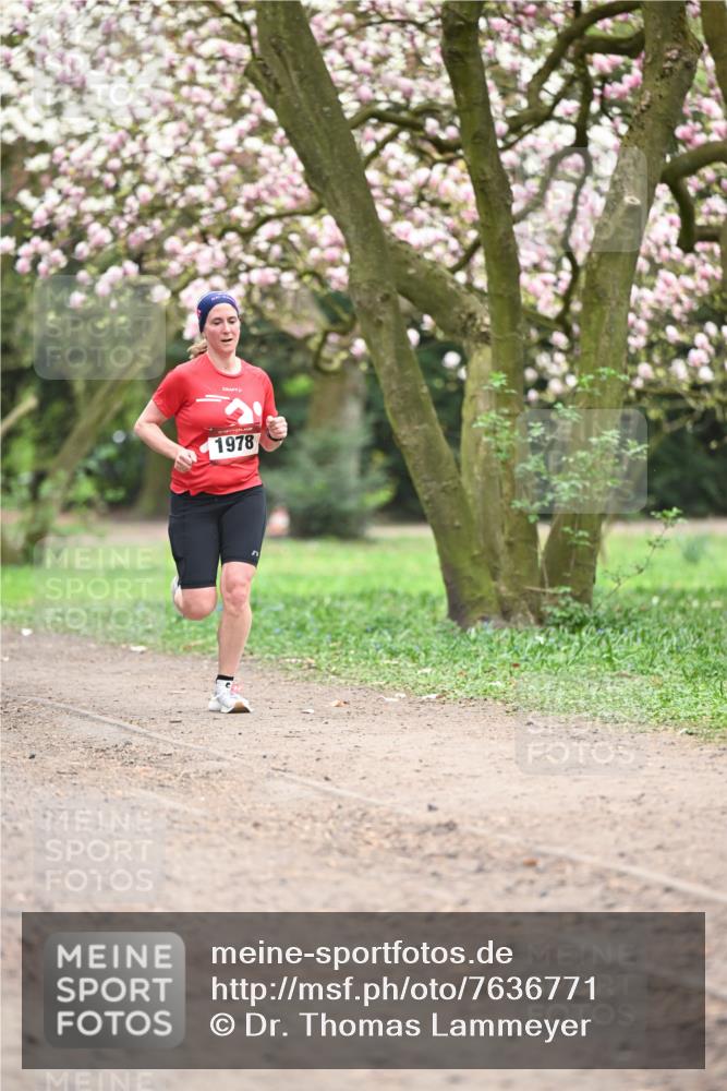 13.04.2025 - Hammer Lauf Dr. Thomas Lammeyer http://msf.ph/oto/7636771 13.04.2025 10:05:59 Laufen 1978 meine-sportfotos.de