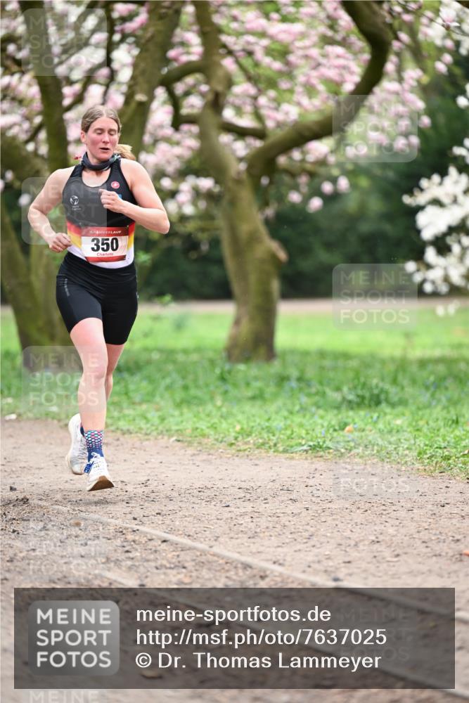 13.04.2025 - Hammer Lauf Dr. Thomas Lammeyer http://msf.ph/oto/7637025 13.04.2025 10:06:08 Laufen 15, 350 meine-sportfotos.de