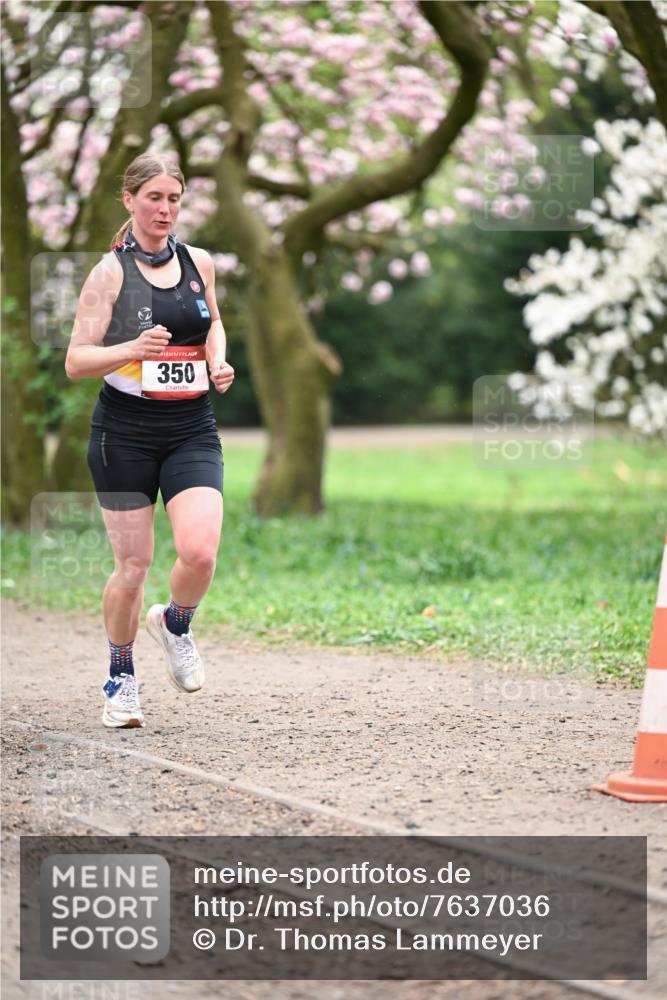 13.04.2025 - Hammer Lauf Dr. Thomas Lammeyer http://msf.ph/oto/7637036 13.04.2025 10:06:08 Laufen 350 meine-sportfotos.de