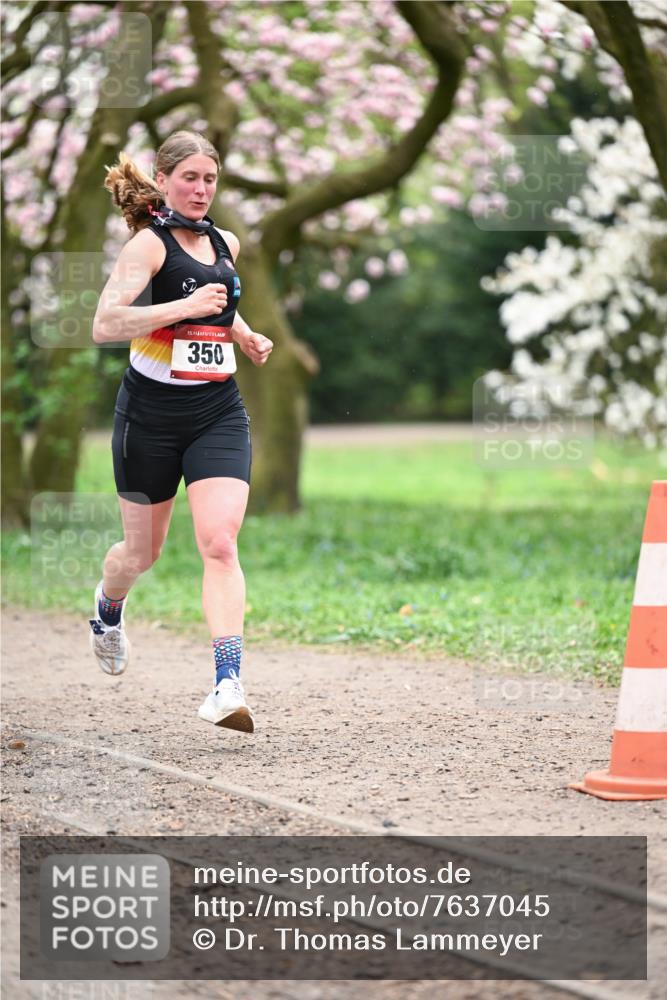 13.04.2025 - Hammer Lauf Dr. Thomas Lammeyer http://msf.ph/oto/7637045 13.04.2025 10:06:09 Laufen 15, 350 meine-sportfotos.de