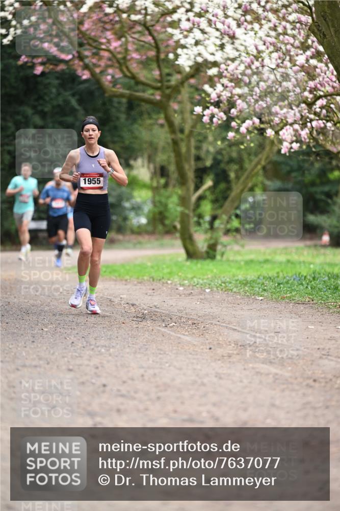 13.04.2025 - Hammer Lauf Dr. Thomas Lammeyer http://msf.ph/oto/7637077 13.04.2025 10:06:20 Laufen 1955 meine-sportfotos.de