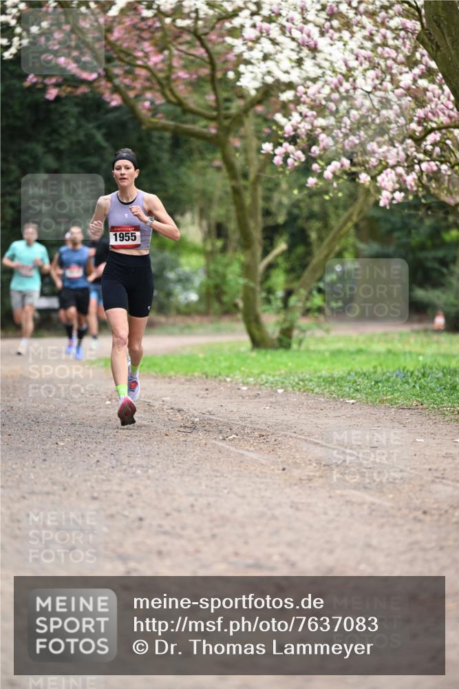 13.04.2025 - Hammer Lauf Dr. Thomas Lammeyer http://msf.ph/oto/7637083 13.04.2025 10:06:21 Laufen 1955 meine-sportfotos.de