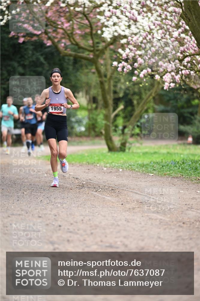 13.04.2025 - Hammer Lauf Dr. Thomas Lammeyer http://msf.ph/oto/7637087 13.04.2025 10:06:21 Laufen 1955 meine-sportfotos.de