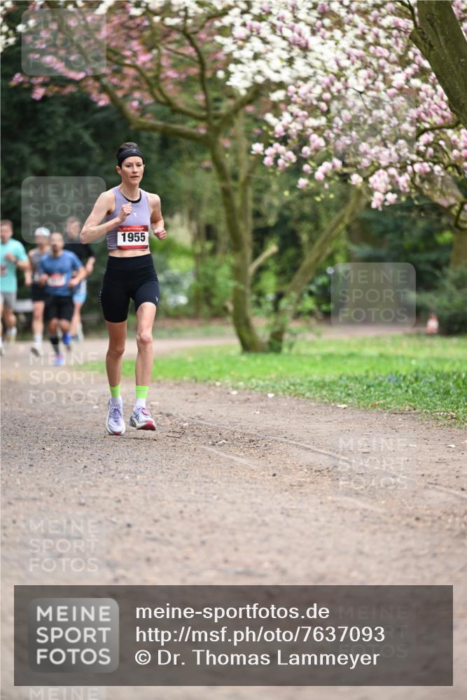 13.04.2025 - Hammer Lauf Dr. Thomas Lammeyer http://msf.ph/oto/7637093 13.04.2025 10:06:21 Laufen 1955 meine-sportfotos.de