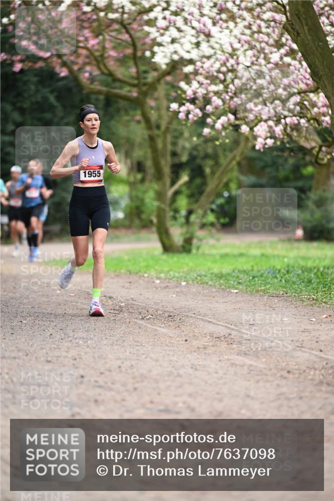 13.04.2025 - Hammer Lauf Dr. Thomas Lammeyer http://msf.ph/oto/7637098 13.04.2025 10:06:21 Laufen 1955 meine-sportfotos.de