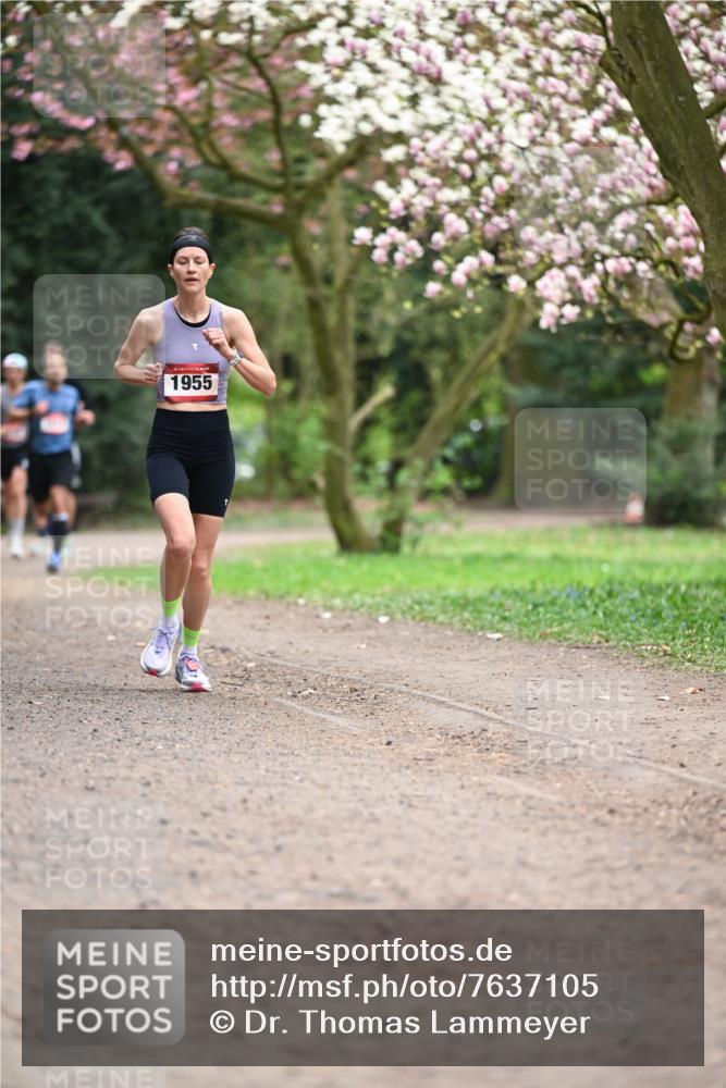 13.04.2025 - Hammer Lauf Dr. Thomas Lammeyer http://msf.ph/oto/7637105 13.04.2025 10:06:21 Laufen 1955 meine-sportfotos.de