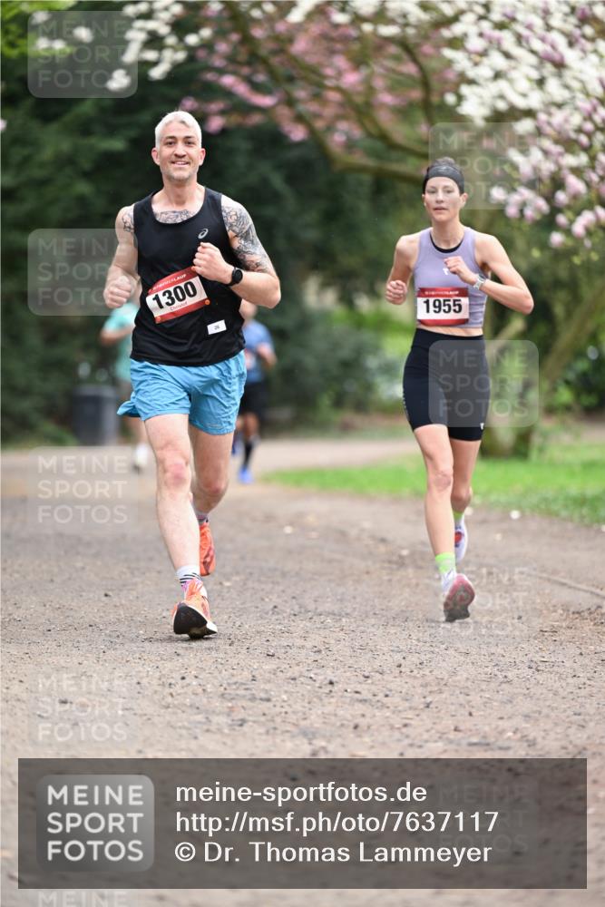13.04.2025 - Hammer Lauf Dr. Thomas Lammeyer http://msf.ph/oto/7637117 13.04.2025 10:06:22 Laufen 1300, 26, 1955 meine-sportfotos.de