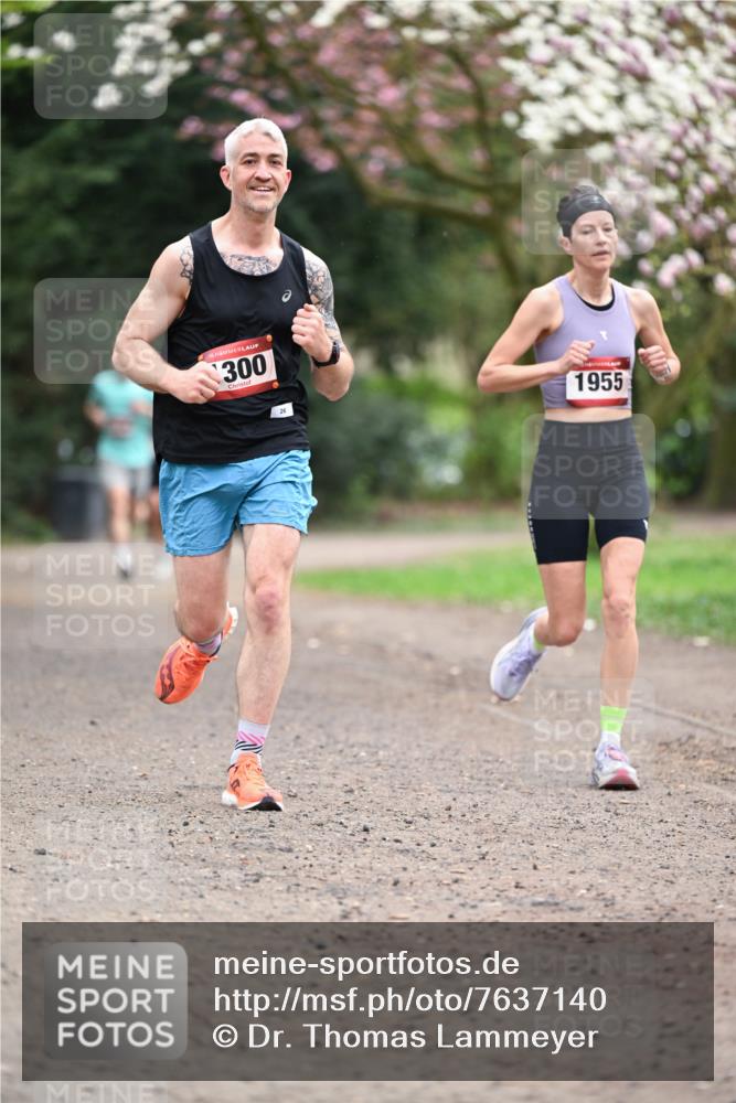 13.04.2025 - Hammer Lauf Dr. Thomas Lammeyer http://msf.ph/oto/7637140 13.04.2025 10:06:22 Laufen 15, 300, 26, 1955 meine-sportfotos.de