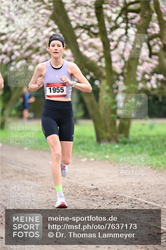 13.04.2025 - Hammer Lauf Dr. Thomas Lammeyer http://msf.ph/oto/7637173 13.04.2025 10:06:23 Laufen 15, 1955 meine-sportfotos.de