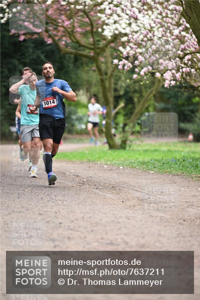 13.04.2025 - Hammer Lauf Dr. Thomas Lammeyer http://msf.ph/oto/7637211 13.04.2025 10:06:27 Laufen 1014 meine-sportfotos.de