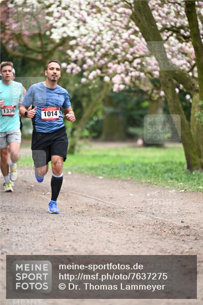 13.04.2025 - Hammer Lauf Dr. Thomas Lammeyer http://msf.ph/oto/7637275 13.04.2025 10:06:28 Laufen 1336, 15, 1014 meine-sportfotos.de
