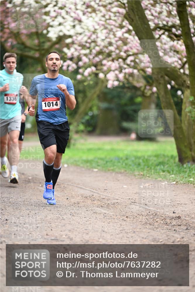 13.04.2025 - Hammer Lauf Dr. Thomas Lammeyer http://msf.ph/oto/7637282 13.04.2025 10:06:29 Laufen 1336, 15, 1014 meine-sportfotos.de