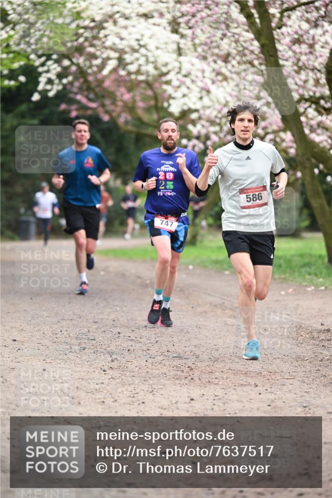 13.04.2025 - Hammer Lauf Dr. Thomas Lammeyer http://msf.ph/oto/7637517 13.04.2025 10:06:40 Laufen 747, 15, 586 meine-sportfotos.de